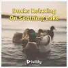 Lullify - Ducks Relaxing On Soothing Lake